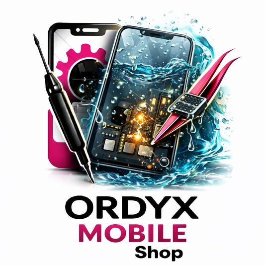 iPhone Wasserschaden Reparatur